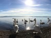 Bild 16 - Ude