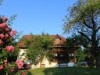 Billede 9