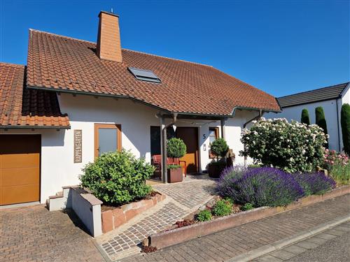 Ferieleilighet - 4 personer -  - In den Rappengärten - 76872 - Steinweiler