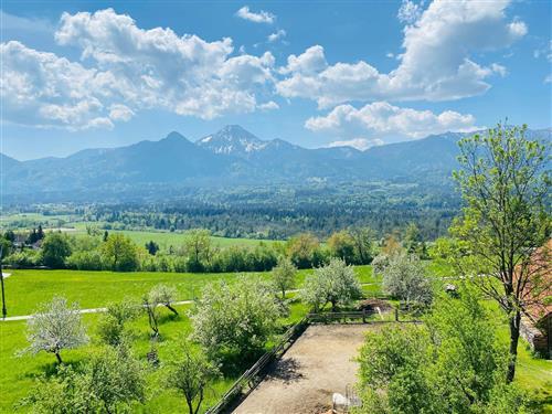 Feriehus / leilighet - 2 personer -  - Panoramaweg - 9581 - Petschnitzen