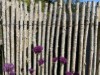 Bild 19