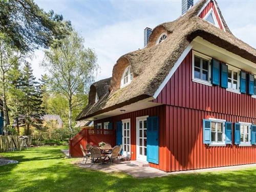 Sommerhus - 6 personer -  - In de Dickden - 18375 - Born