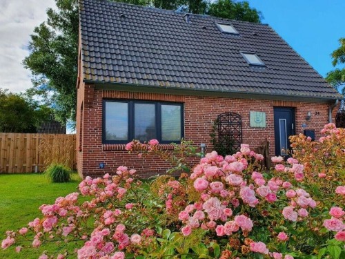 Feriehus - 6 personer -  - 25832 - Tönning