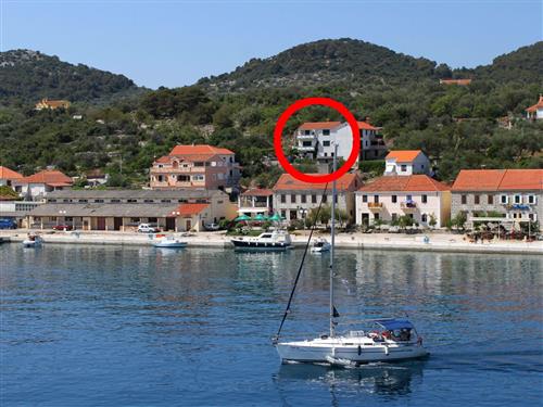 Ferielejlighed - 4 personer -  - Ulica I. br. - 23281 - Sali