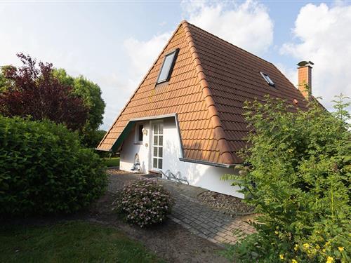 Feriehus - 6 personer -  - Mellumplate - 27639 - Wurster Nordseeküste