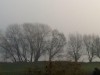 Bild 9 - Ude