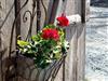 Bild 23 - Innen