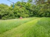 Billede 34 - Grund
