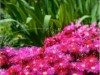 Bilde 5