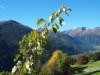 Bilde 47
