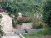 Bild 26 - Aussen