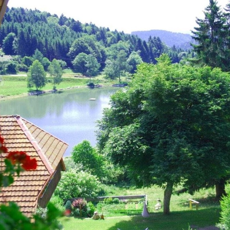 Sommerhus - 4 personer -  - 79875 - Dachsberg- Hierholz
