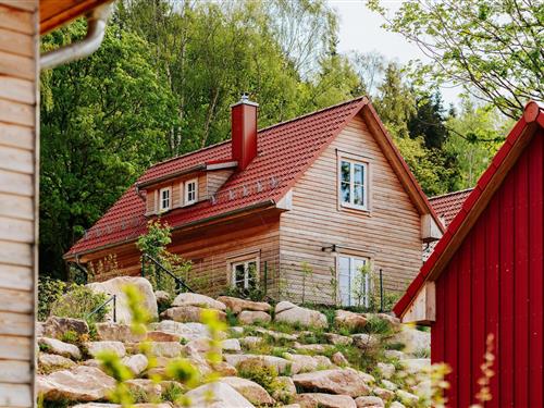 Feriehus - 7 personer -  - 38879 - Schierke