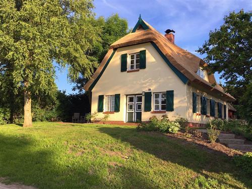 Sommerhus - 4 personer -  - Preetz - 18586 - Lancken-Granitz