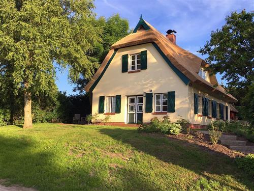 Sommerhus - 6 personer -  - Preetz - 18586 - Lancken-Granitz