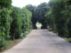 Bild 36 - Aussen