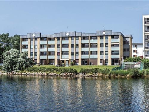 Ferienhaus - 4 Personen -  - Steinwarder - 23774 - Heiligenhafen