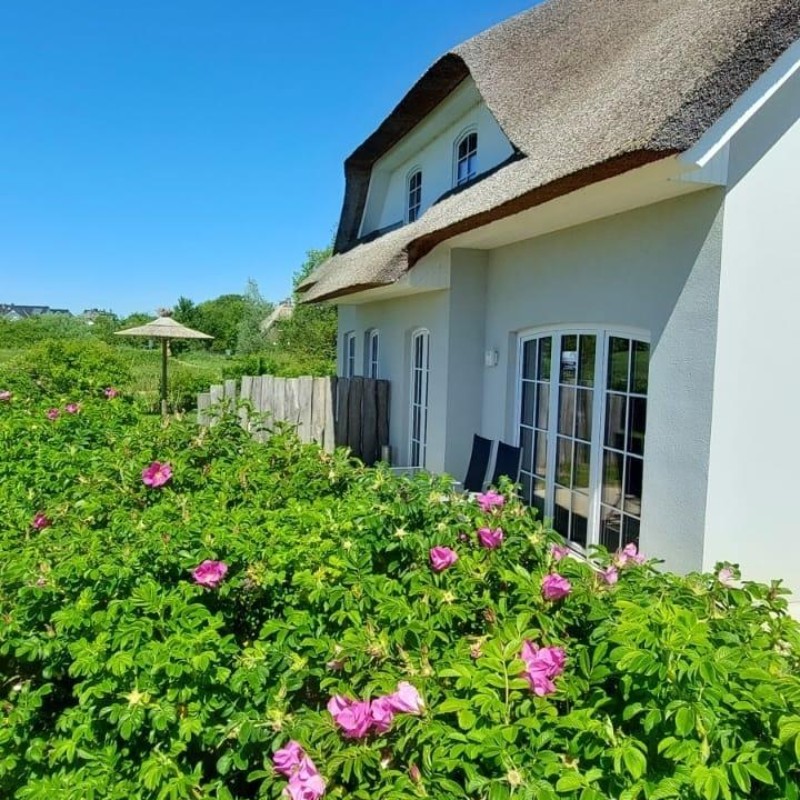 Sommerhus - 10 personer -  - Bernsteinring - 23942 - Dassow