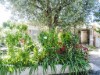 Image 5 - Outside