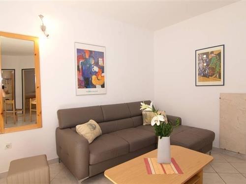 Ferieleilighet - 4 personer -  - Velog Joze - 52440 - Porec