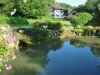 Bild 19