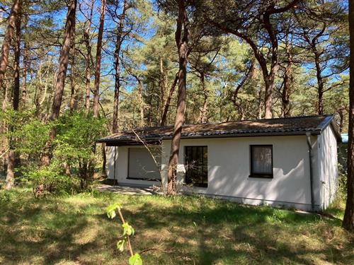 Ferielejlighed - 4 personer -  - Im Dünenwald - 18556 - Ostseebad Breege Ot Juliu