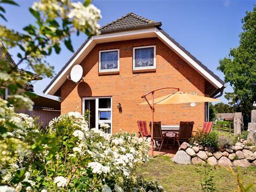 Feriehus - 7 personer -  - Hafenstraße - 18375 - Ostseebad Prerow