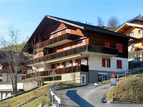 Ferienhaus - 5 Personen -  - Grindelwald - 3818