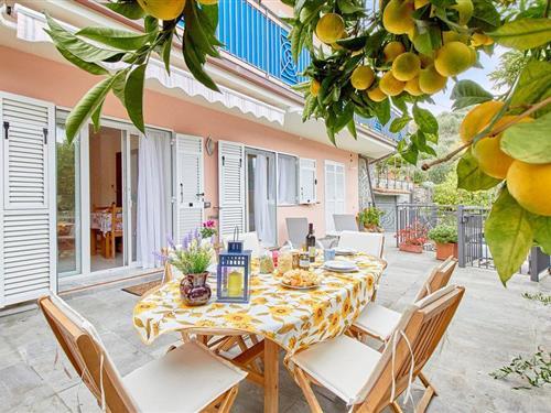 Fritidshus - 4 personer -  - Via Colle della Valle - Dolcedo-Riviera Dei Fiori - 18024 - Dolcedo -Im-