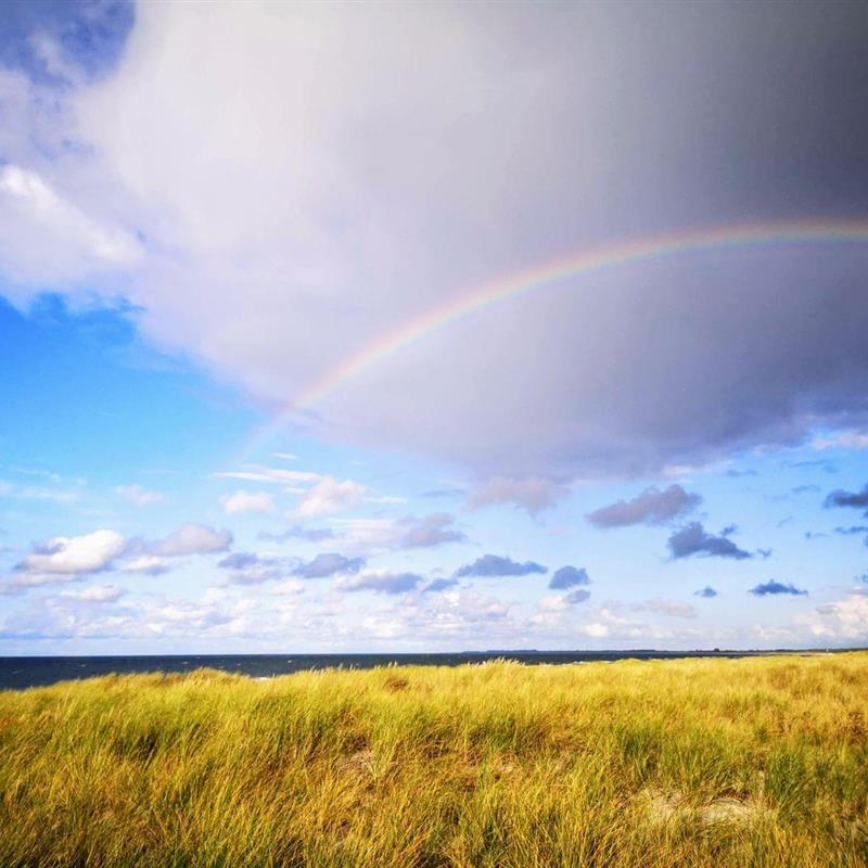 Ferielejlighed - 2 personer -  - Buhnenweg - 18181 - Graal-Müritz