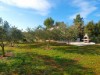 Image 4 - Outside