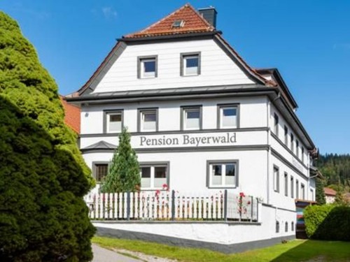  - 6 personer -  - Lehmgrubenweg - 94249 - Bodenmais