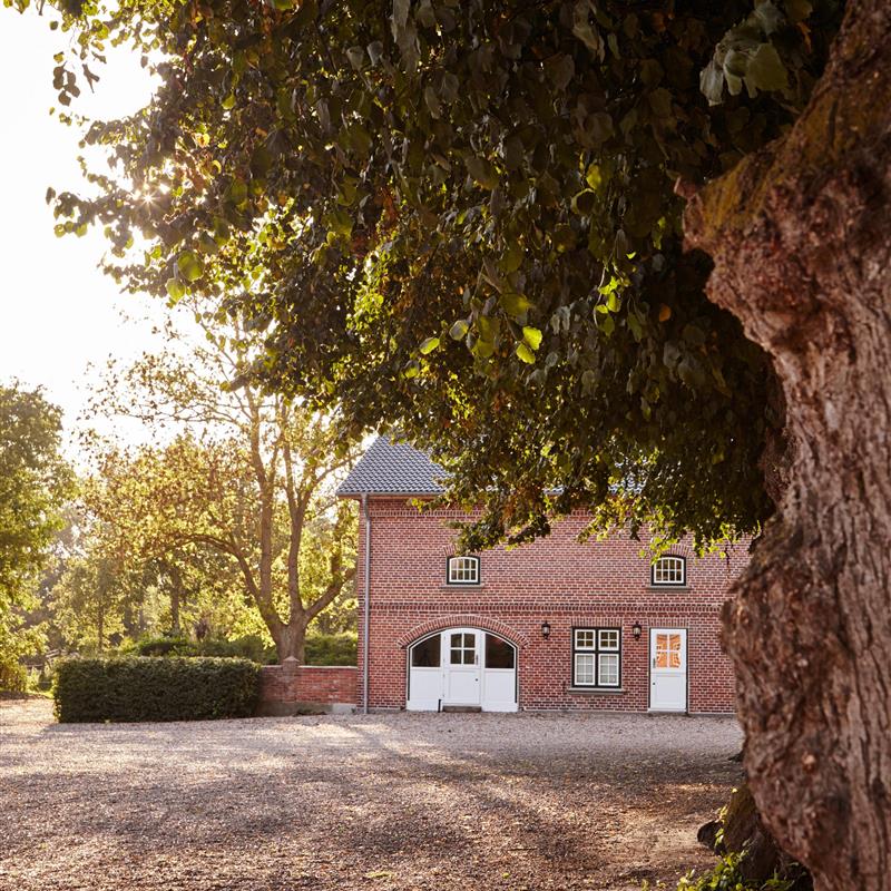 Sommerhus - 6 personer -  - Friedrichsthal - 23758 - Giddendorf