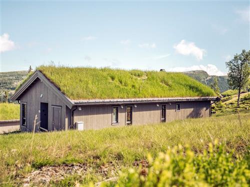 Sommerhus - 10 personer -  - Vardensvegen - Ringebu - 2634 - Fåvang