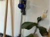 Bild 18