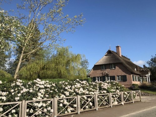 Holiday home - 4 persons -  - 24211 - Rosenfeld\/Rastorf