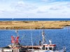 Bild 46 - Blick über's Wasser