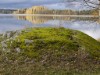 Bilde 12 - Inne