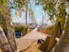 Billede 29