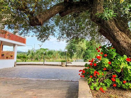 Ferielejlighed - 4 personer -  - Via Foce snc - 84040 - Casal Velino