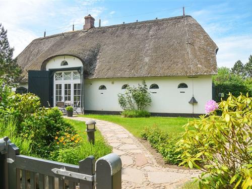 Ferielejlighed - 4 personer -  - Bahnhofstr. - 25980 - Sylt / Ot Keitum