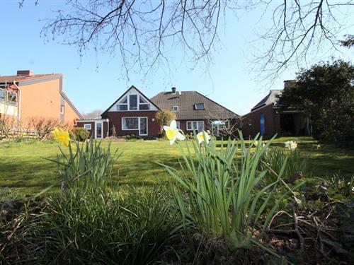 Ferielejlighed - 2 personer -  - Molenstraße - 26506 - Norddeich