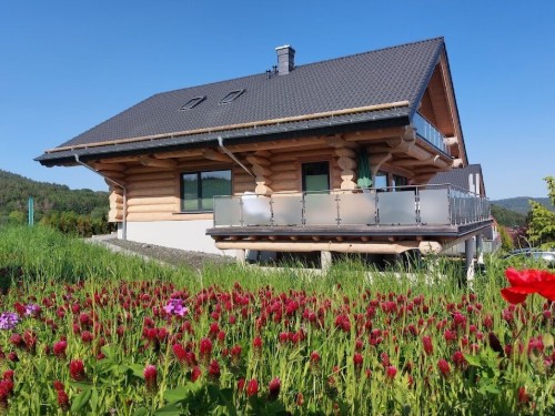 Holiday home - 4 persons -  - 55758 - Langweiler