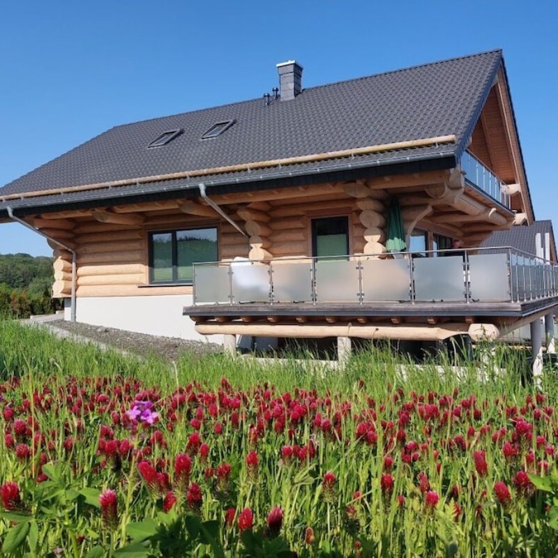 Sommerhus - 4 personer -  - 55758 - Langweiler