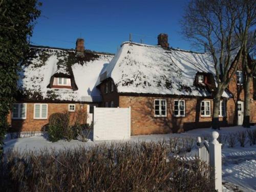 Semesterlägenhet - 3 personer -  - Marschweg - 25938 - Alkersum