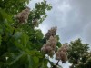 Bild 17