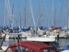 Billede 33