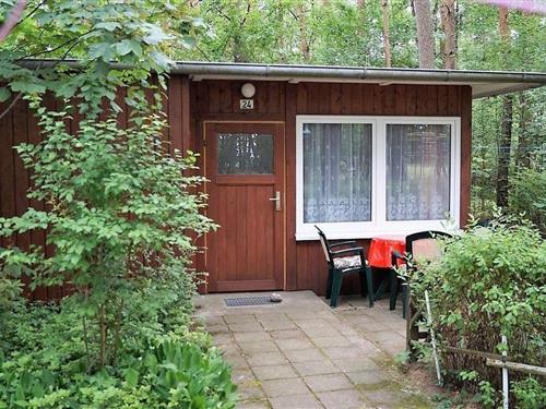 Semesterhus/Semesterlägenhet - 3 personer -  - Ahornallee - 15848 - Friedland