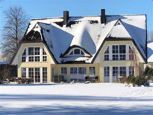 Ferienhaus - 6 Personen -  - Rügen-Resort RexRugia Göhrener Weg, Haus - 18586 - Mönchgut