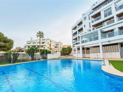 Holiday apartment - 6 persons -  - 03189 - Orihuela Costa